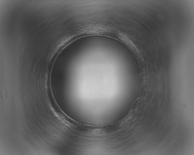 X0000052950058200507300056