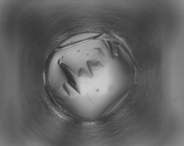 X0000052950061200507300056