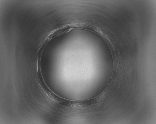 X0000052950062200507300056