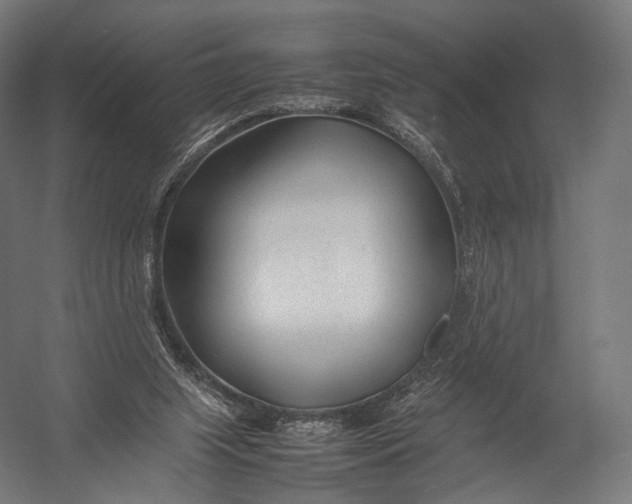 X0000052950063200507300056