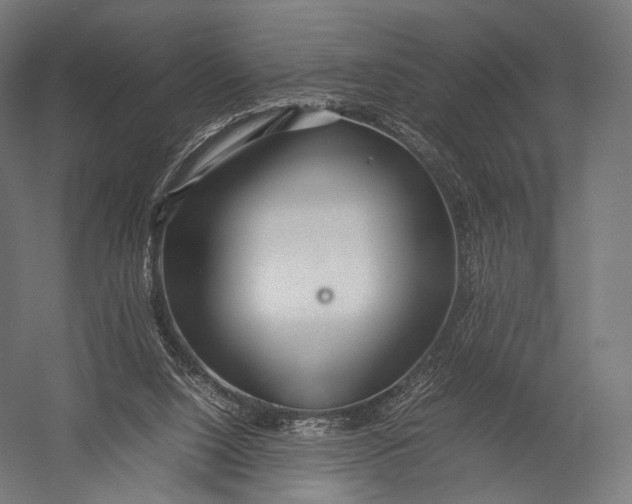 X0000052950064200507300056