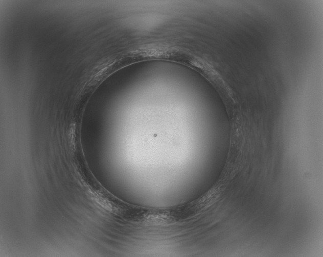 X0000052950066200507300056