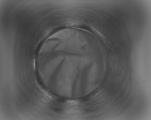 X0000052950067200507300056