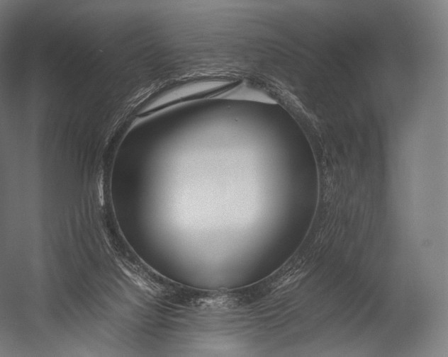 X0000052950068200507300056