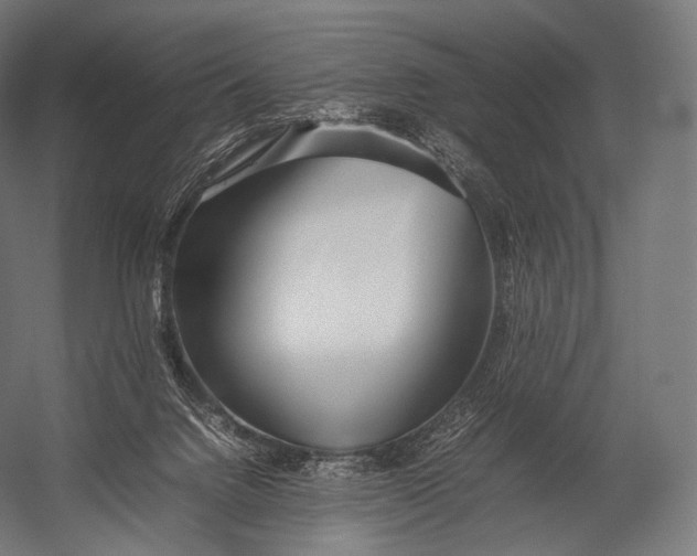 X0000052950072200507300056