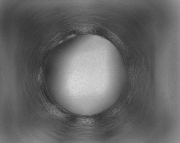X0000052950073200507300056