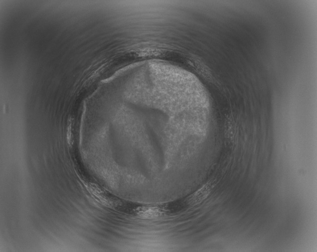 X0000052950074200507300056