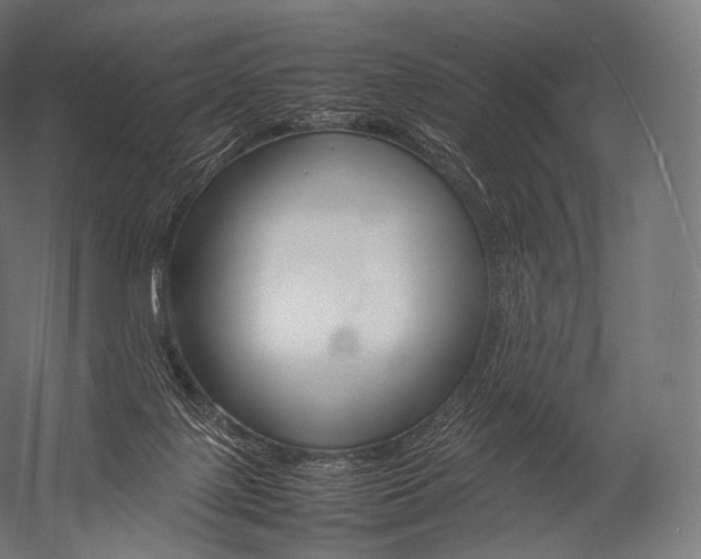 X0000052950075200507300056