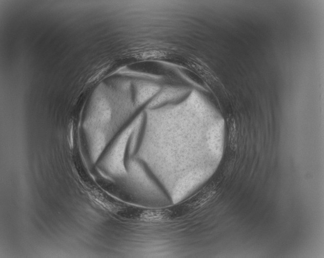 X0000052950076200507300056
