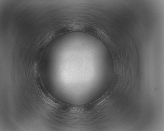 X0000052950077200507300056