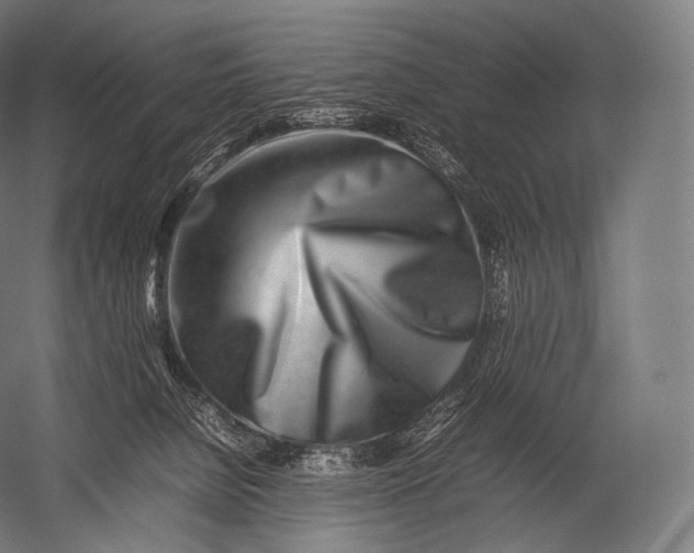 X0000052950080200507300056