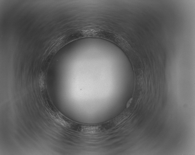 X0000052950081200507300056
