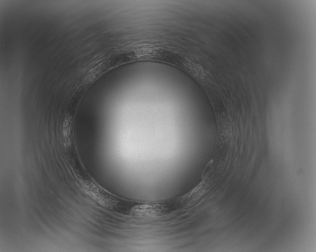 X0000052950082200507300056
