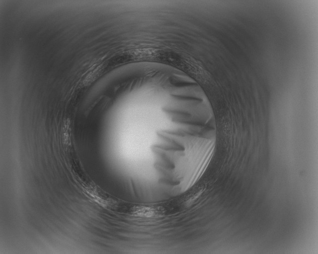 X0000052950083200507300056