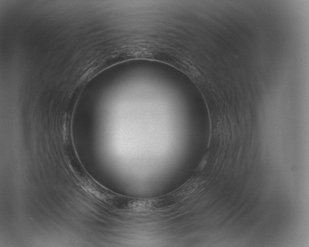 X0000052950084200507300056