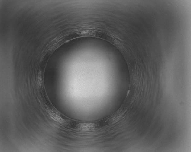 X0000052950085200507300056