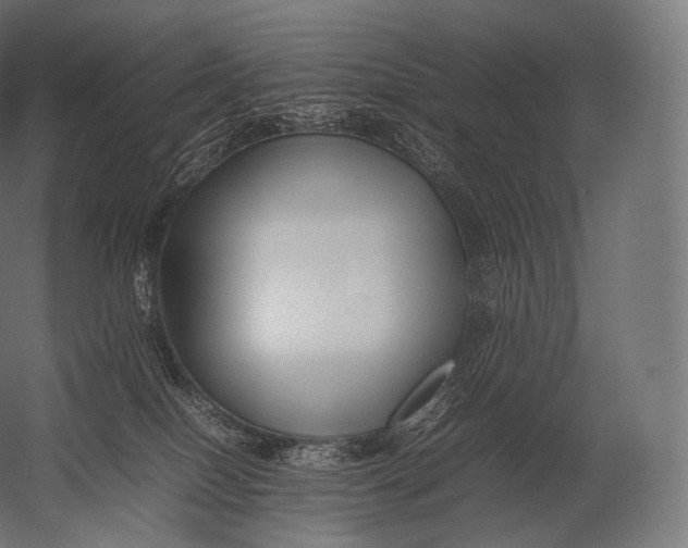 X0000052950086200507300056