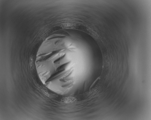X0000052950087200507300056