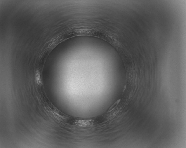 X0000052950089200507300056