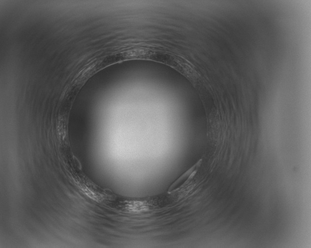 X0000052950091200507300056