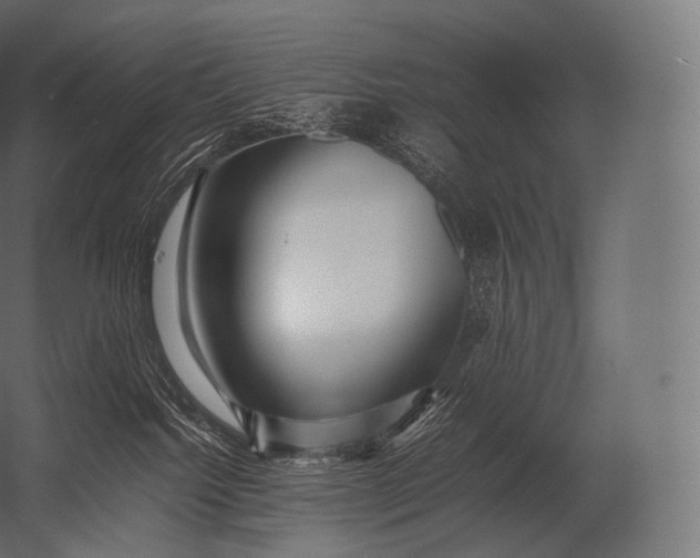X0000052950092200507300056