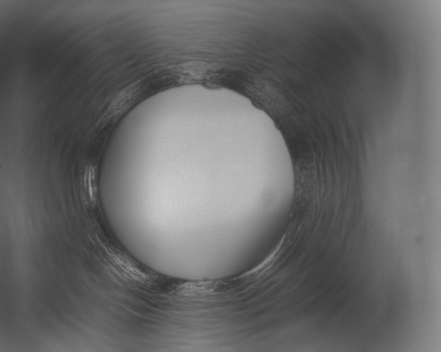X0000052950094200507300056