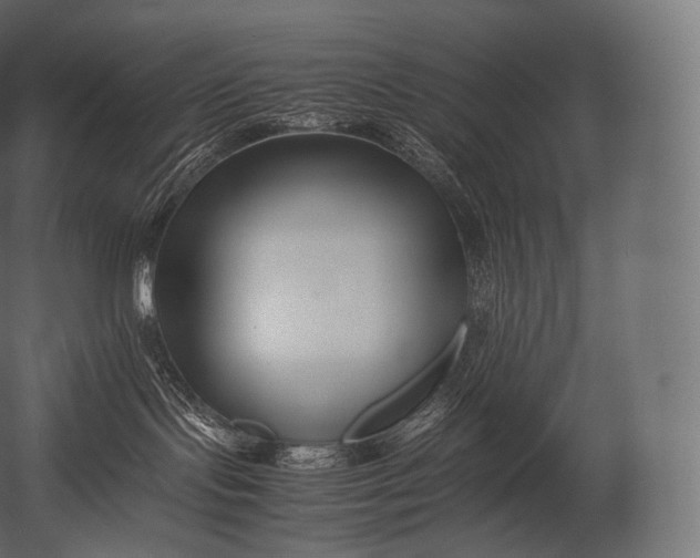 X0000052950095200507300056