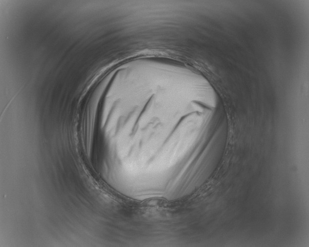 X0000052950098200507300055