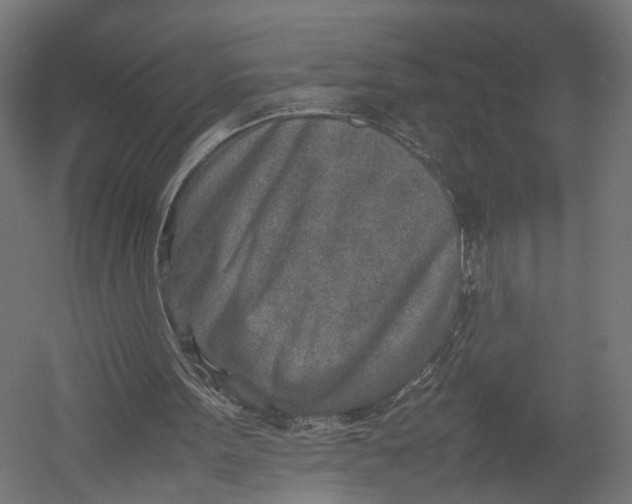 X0000052950099200507300055