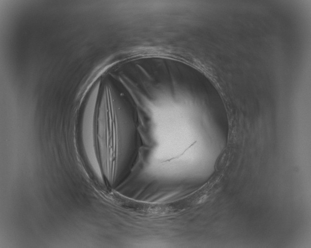 X0000052950103200507300055
