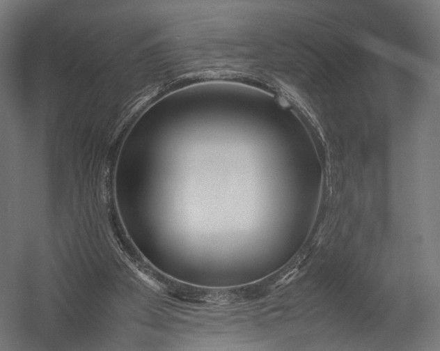 X0000052950105200507300055