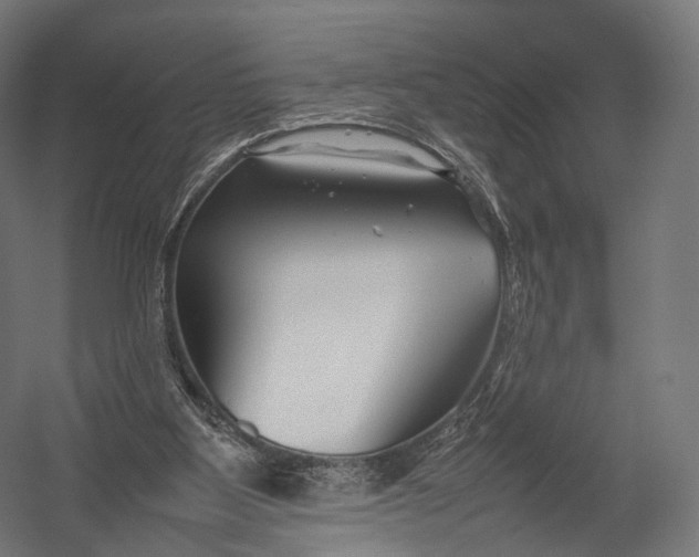 X0000052950107200507300055