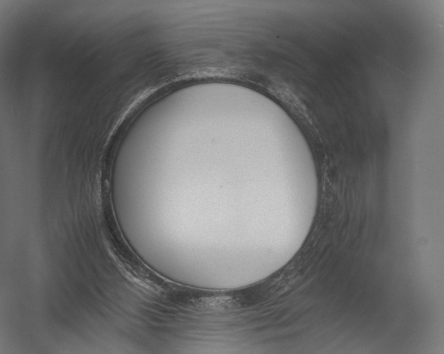 X0000052950108200507300055