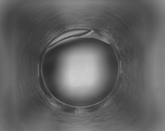 X0000052950109200507300055