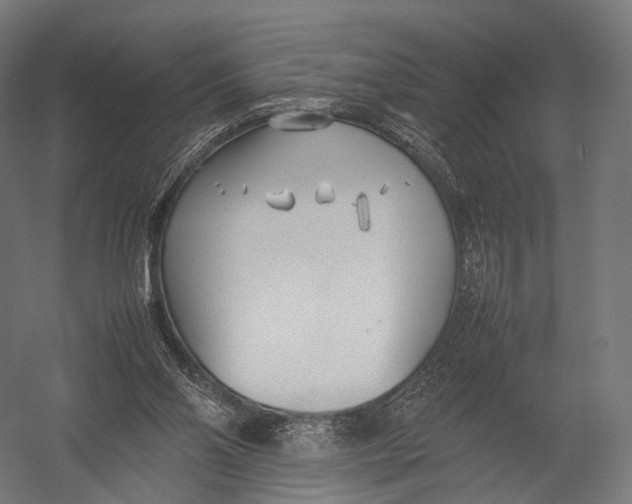 X0000052950110200507300055
