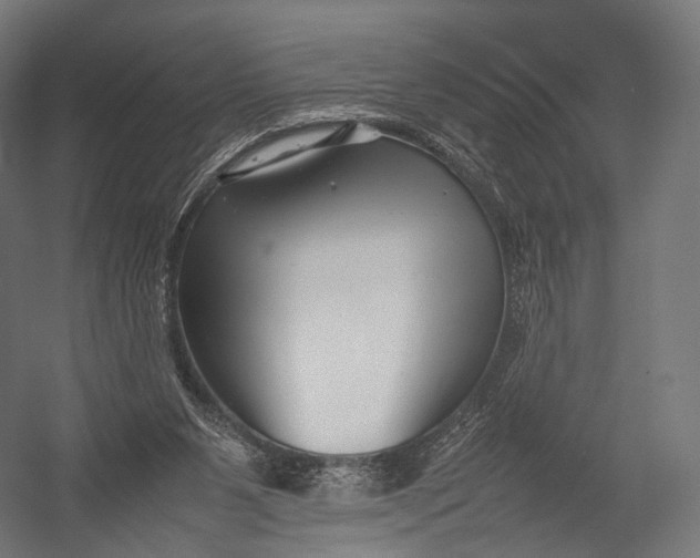X0000052950111200507300055