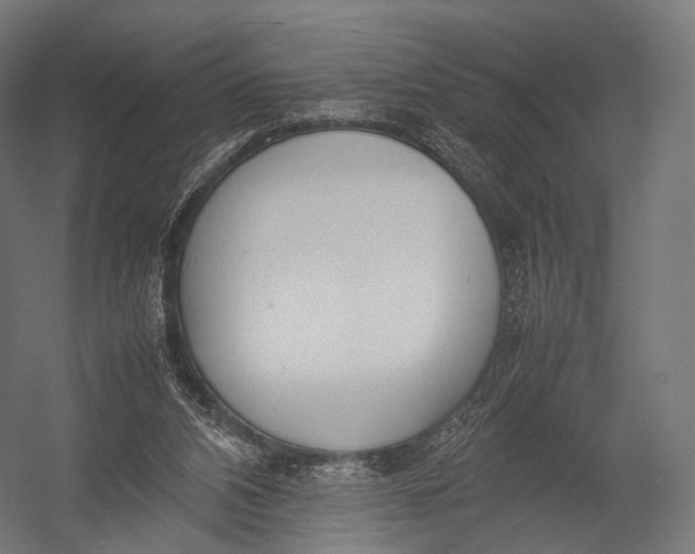 X0000052950112200507300055