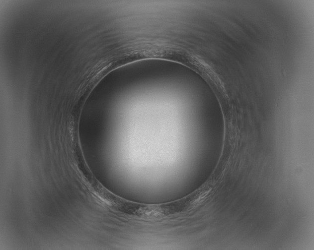 X0000052950113200507300055