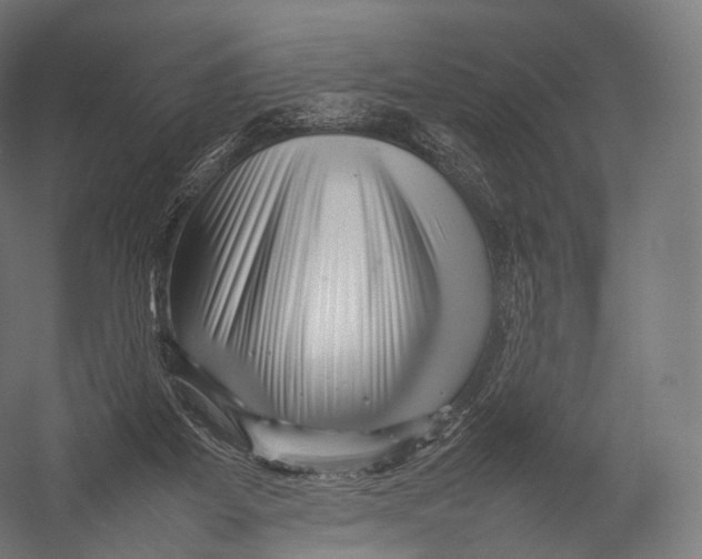 X0000052950115200507300055