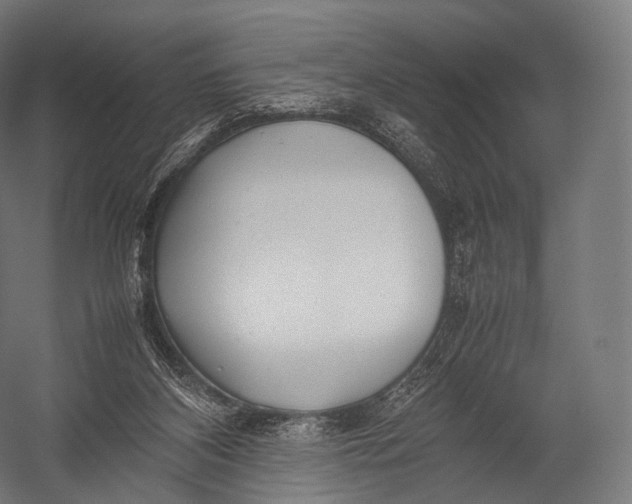 X0000052950116200507300055