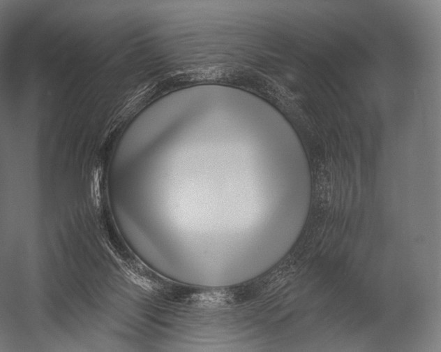X0000052950118200507300055