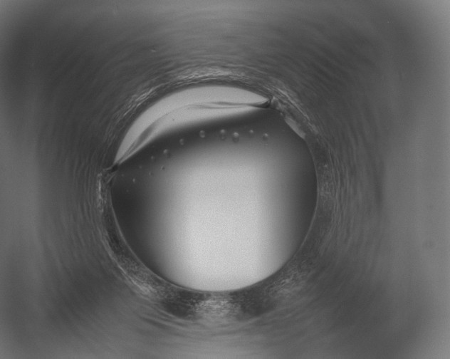 X0000052950119200507300055