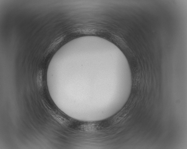 X0000052950120200507300055