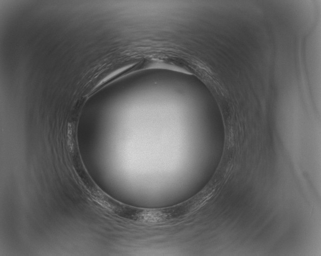 X0000052950121200507300055