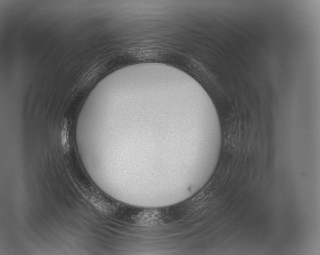 X0000052950124200507300055