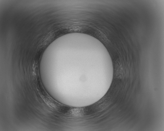 X0000052950126200507300055