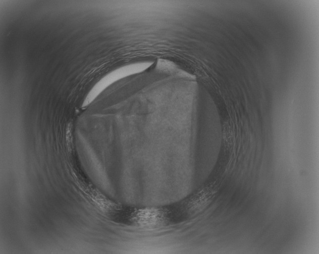 X0000052950127200507300055