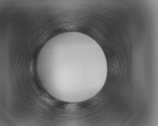 X0000052950132200507300055
