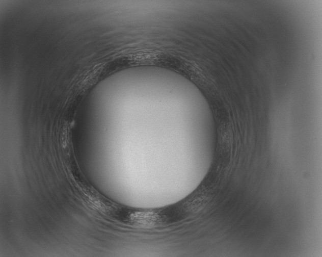 X0000052950133200507300055