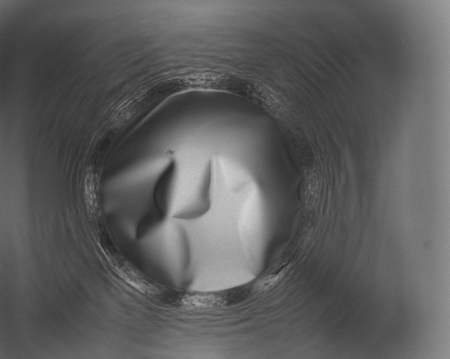X0000052950137200507300055